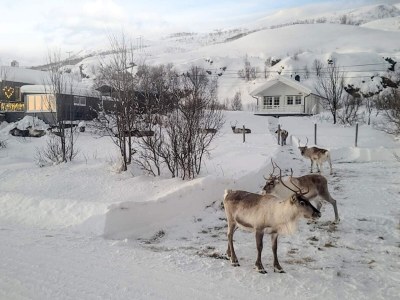 Holiday house 6 Personen Ferienhaus in Rebbenes - Outdoor photo 10