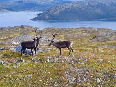 Holiday house 6 Personen Ferienhaus in Rebbenes - Outdoor photo 21