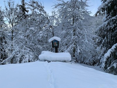 Apartment Apartment in Fulpmes near Stubai Glacier - Outdoor photo 11