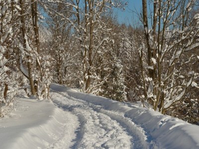 Apartment Apartment in Fulpmes near Stubai Glacier - Environment photo 34