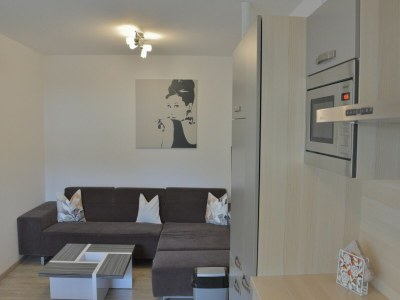 Apartment Chalet in Fulpmes near Stubai Glacier Skiing - Features photo 13