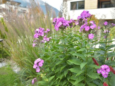 Apartment Chalet in Fulpmes near Stubai Glacier Skiing - Outdoor photo 29