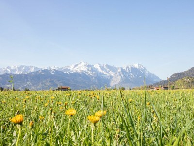 Holiday apartment Ausblick - Outdoor photo 19