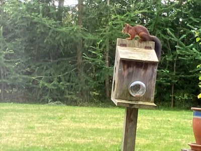 Holiday house Family Beach Retreat - By Traum Ferienwohnungen - Outdoor photo 11