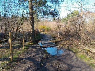 Holiday house Ferienhaus in Wiek - Environment photo 19