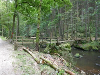 Holiday house Ferienhaus in Wiek - Environment photo 21