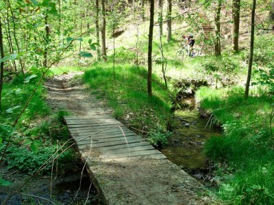 Holiday house Ferienhaus in Wiek - Environment photo 22