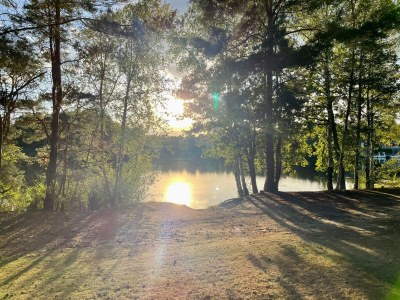 Chalet BPW 1155 - Bospark Wolfsven - Outdoor photo 13