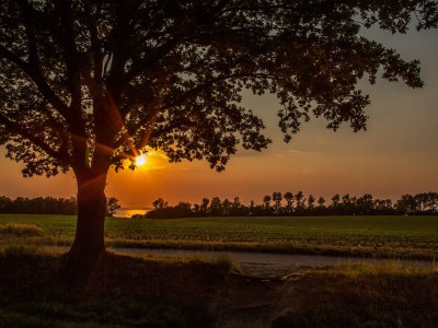 Holiday house Drööm unter Reet 1 - Environment photo 24