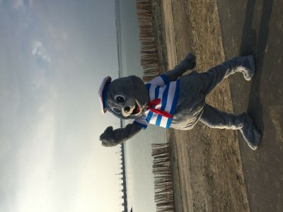 Chalet Chalet Lynn - Oosterschelde Camping Anna Friso - Outdoor photo 12