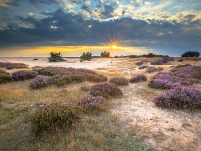 Chalet DD 45 - Camping de Duindoorn - AIRCO - Environment photo 14