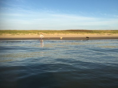 Chalet DD 58 - Camping de Duindoorn - AIRCO - Environment photo 14