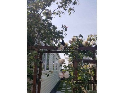 Chalet NV 102 - Beach Resort Nieuwvliet Bad - Outdoor photo 19