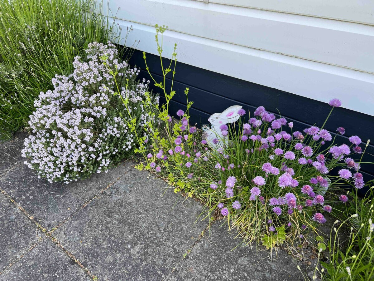 Chalet Beach Resort Nieuwvliet Bad - 1204 - Outdoor photo 3