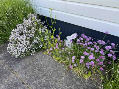 Chalet Beach Resort Nieuwvliet Bad - 1204 - Outdoor photo 3