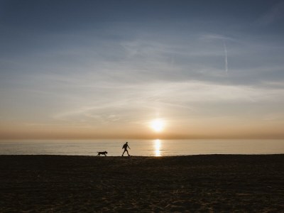 Chalet NV 1221 - Beach Resort Nieuwvliet Bad - Environment photo 18