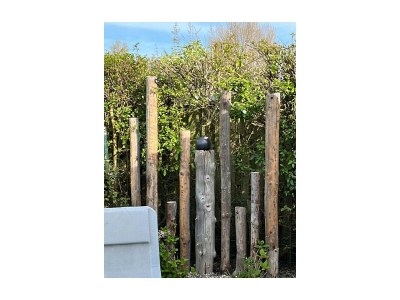 Chalet RBR 1023 - Beach Resort Kamperland - Environment photo 17