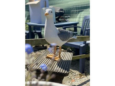 Chalet RBR 232 - Beach Resort Kamperland - Environment photo 14