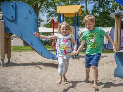 Chalet ZP 237 - Camping de Zandput - Environment photo 12