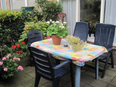 Holiday house Summer House Apeldoorn in Egmond aan Zee - Holiday house