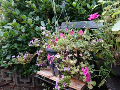 Holiday house Summer House Apeldoorn - Outdoor photo 17