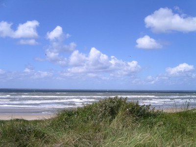 Holiday house Summer House Apeldoorn - Environment photo 26