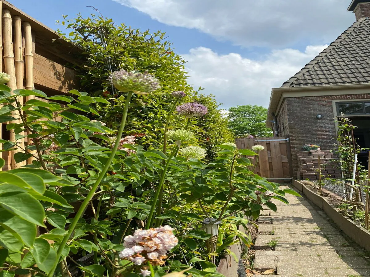 Holiday house Chalet in Ternaard near Heritage Site