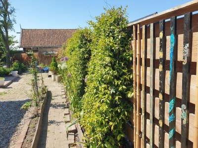 Holiday house Chalet in Ternaard near Heritage Site - Outdoor photo 8