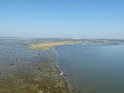 Holiday house Chalet in Ternaard near Heritage Site - Environment photo 35