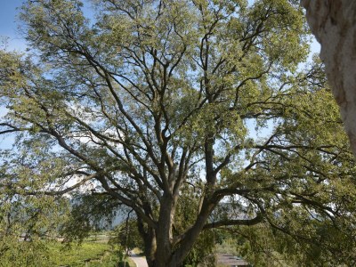 Residence Corte belle barbe - Environment photo 18