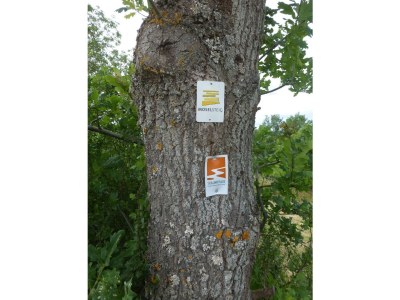 Apartment Ferienwohnung mit Terrasse - Outdoor photo 18