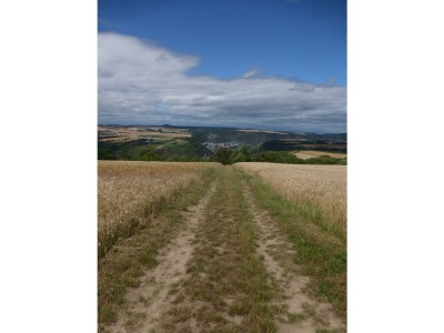 Apartment Ferienwohnung mit Terrasse - Outdoor photo 19