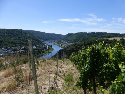 Apartment Ferienwohnung mit Terrasse - Outdoor photo 21