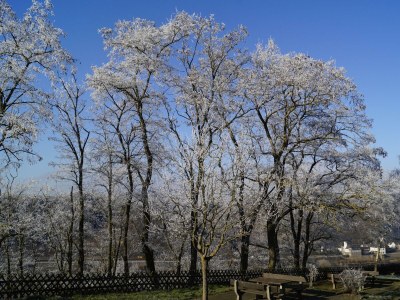 Apartment Ferienwohnung mit Balkon - Outdoor photo 6