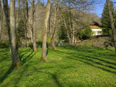 Holiday house Forstgut Lauksburg - Outdoor photo 4