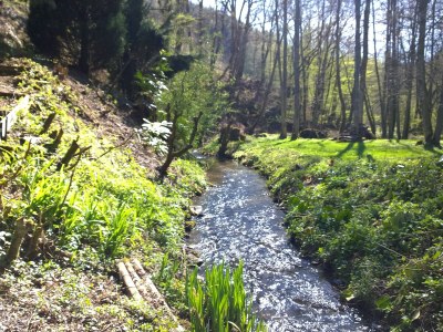 Holiday house Forstgut Lauksburg - Outdoor photo 5