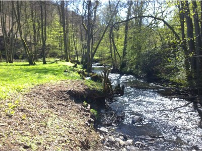 Holiday house Forstgut Lauksburg - Outdoor photo 6