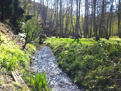 Holiday house Forstgut Lauksburg - Environment photo 21