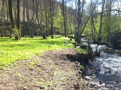 Holiday house Forstgut Lauksburg - Environment photo 22