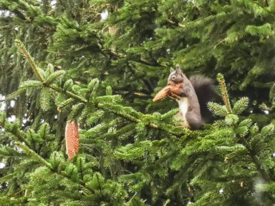 Apartment Ferienwohnung mit weitem Ausblick in Altenau - Outdoor photo 40