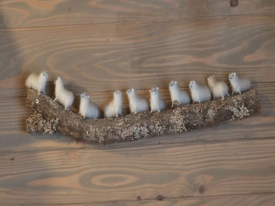 Holiday house Holiday Home Jela - Outdoor photo 44