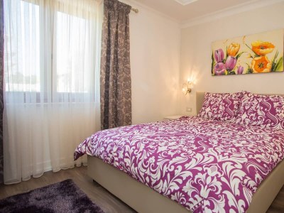 Villa Mihaela - Features photo 35