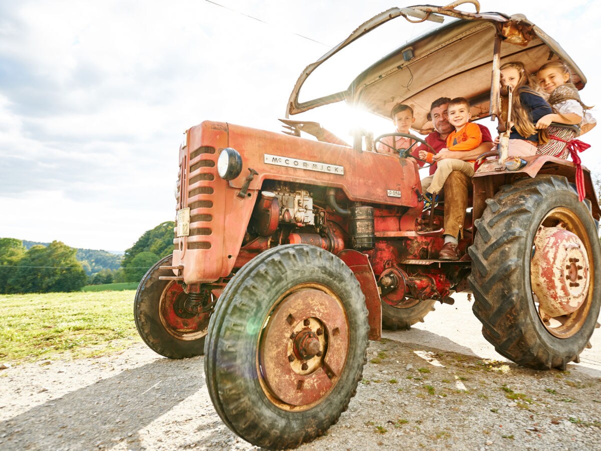 Holiday house Bayerwaldhaus - Outdoor photo 2