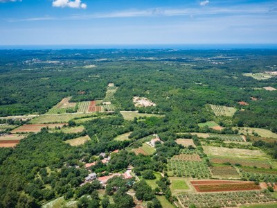 Holiday house Ana Tripari - Environment photo 35