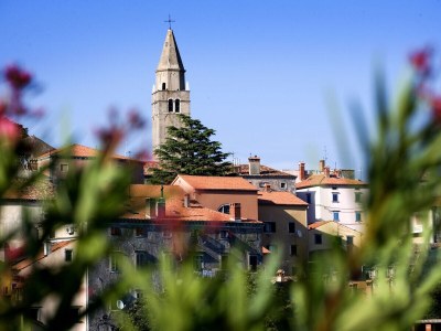 Villa Villa Francesca - Environment photo 37