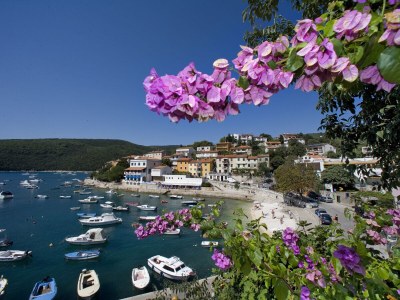 Villa Villa Francesca - Environment photo 38