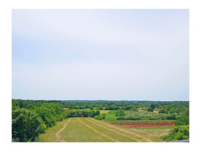 Villa Marko - Environment photo 37