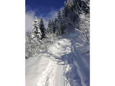 Apartment Katharina Schneeberger - Environment photo 34