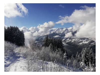 Apartment Katharina Schneeberger - Environment photo 35