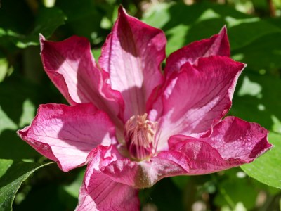 Holiday apartment Garden view - Outdoor photo 8